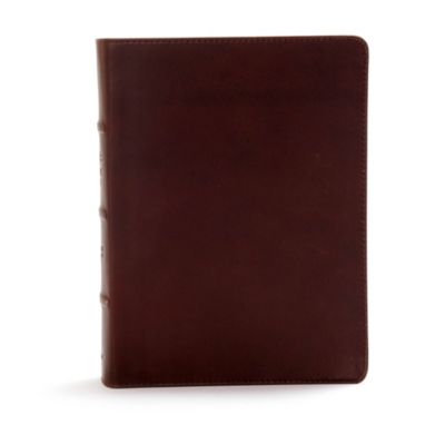 CSB Study Bible Brown Indexed