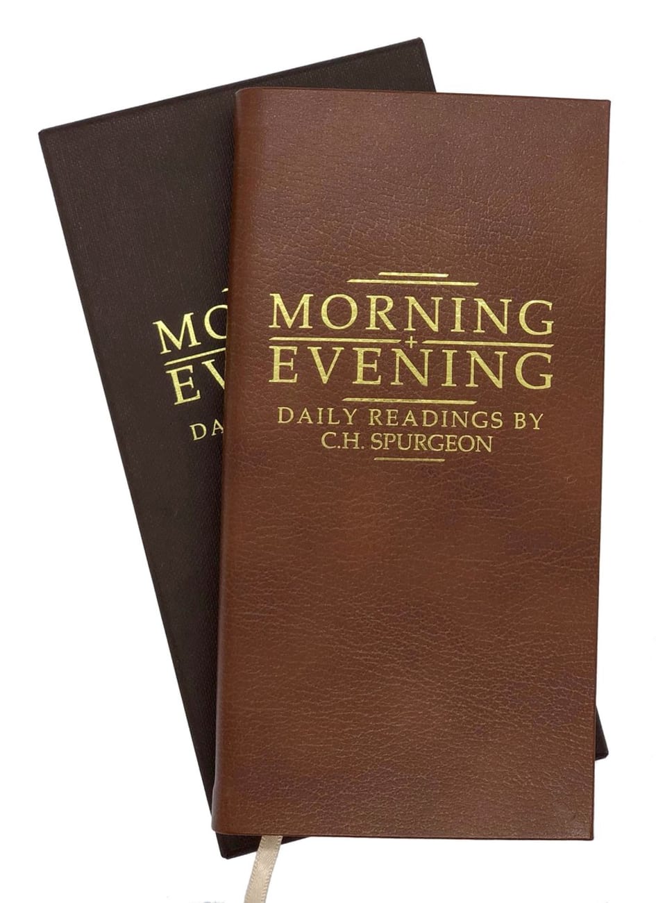 Morning and Evening (Tan)