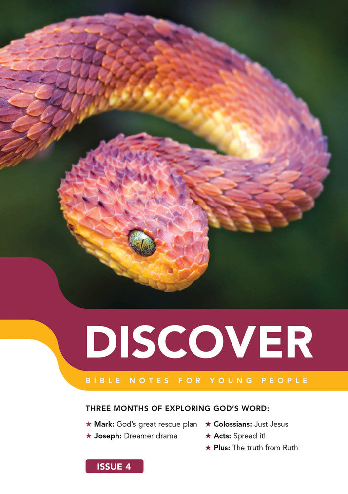 Discover #4