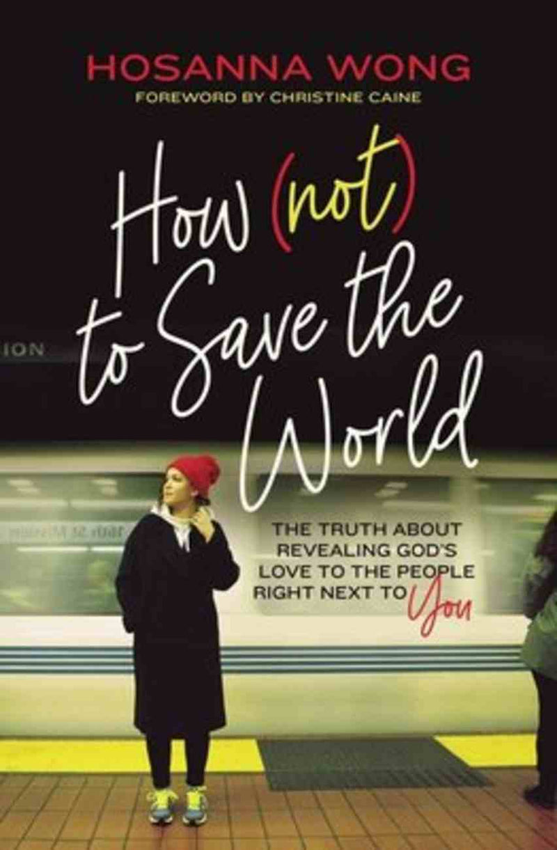 How (Not) to Save the World: Crushing the Lies to Activate Your God-Given Purpose