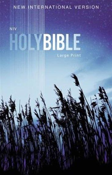 NIV Outreach Bible Large Print