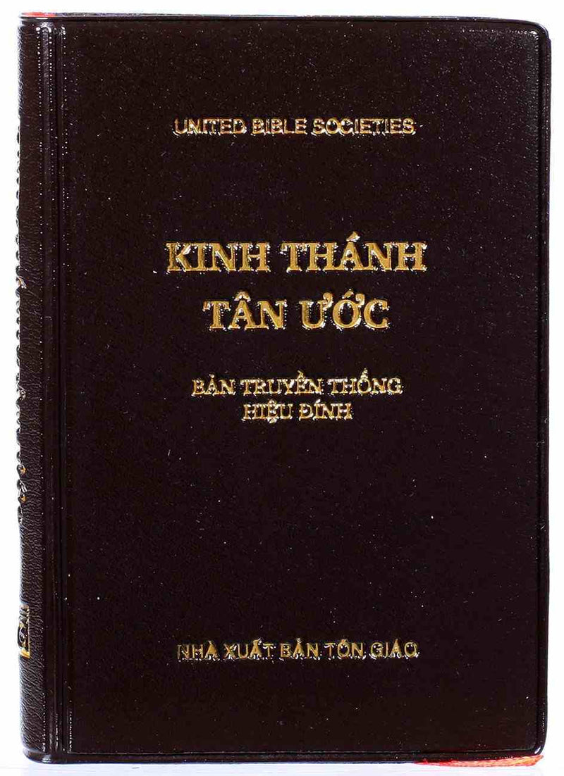 Vietnamese New Testament (Modern Translation)