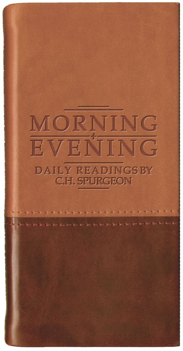 Morning and Evening : Daily Readings Matt Tan/Burgundy