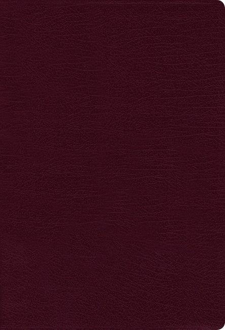 NIV Thinline Bible Red Letter Edition [Burgundy]
