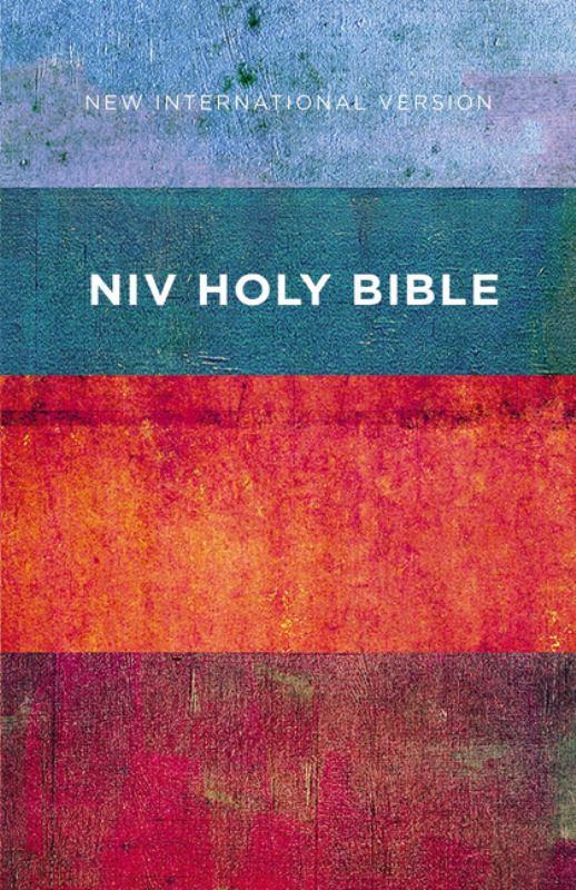 NIV Bible Red/Blue Stripes