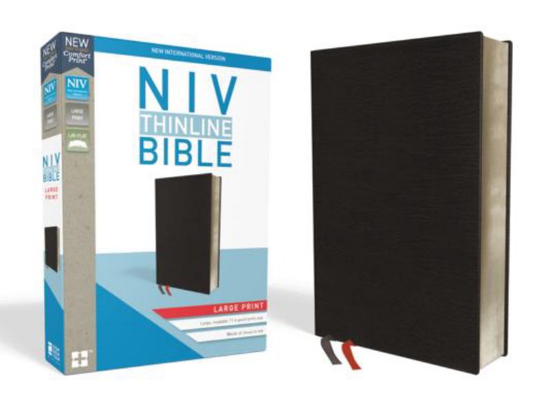 NIV Thinline Bible Large Print Black (Red Letter Edition)