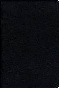 NIV Thinline Reference Bible