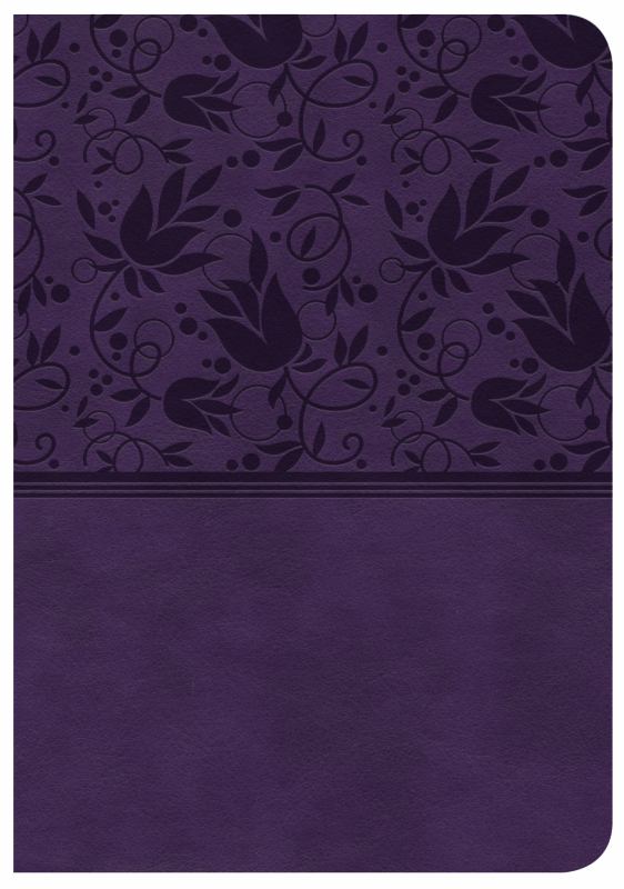 CSB Large Print Compact Reference Bible, Purple LeatherTouch, Indexed