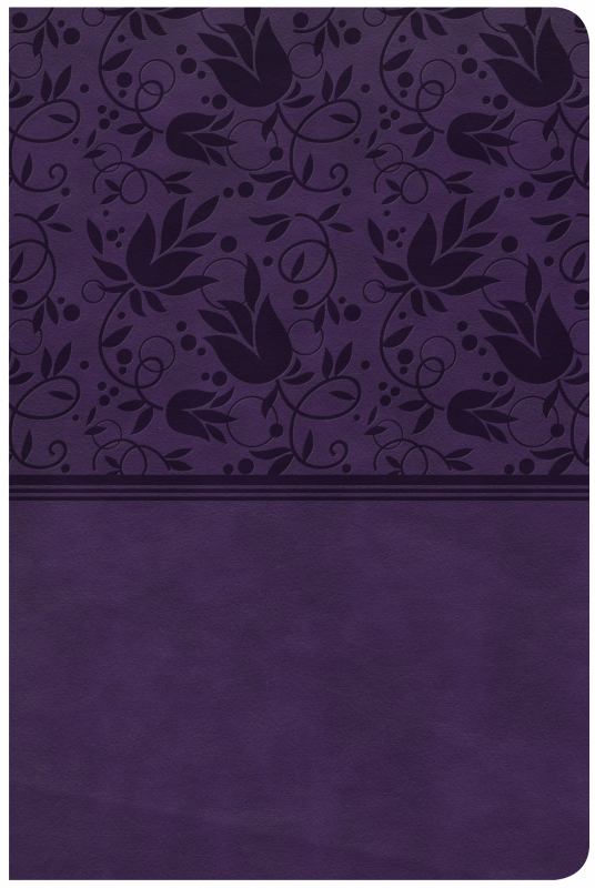 CSB Large Print Personal Size Reference Bible, Purple LeatherTouch, Indexed