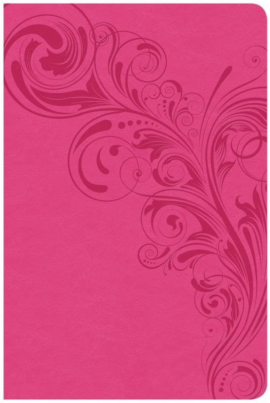 CSB Large Print Personal Size Reference Bible, Pink LeatherTouch