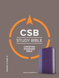 CSB Study Bible, Purple LeatherTouch