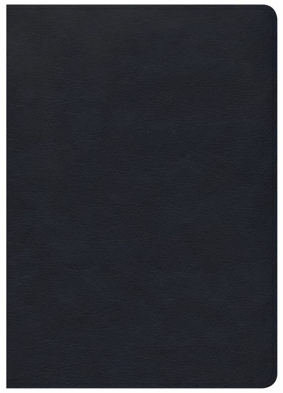 CSB She Reads Truth Bible, Navy LeatherTouch, Indexed