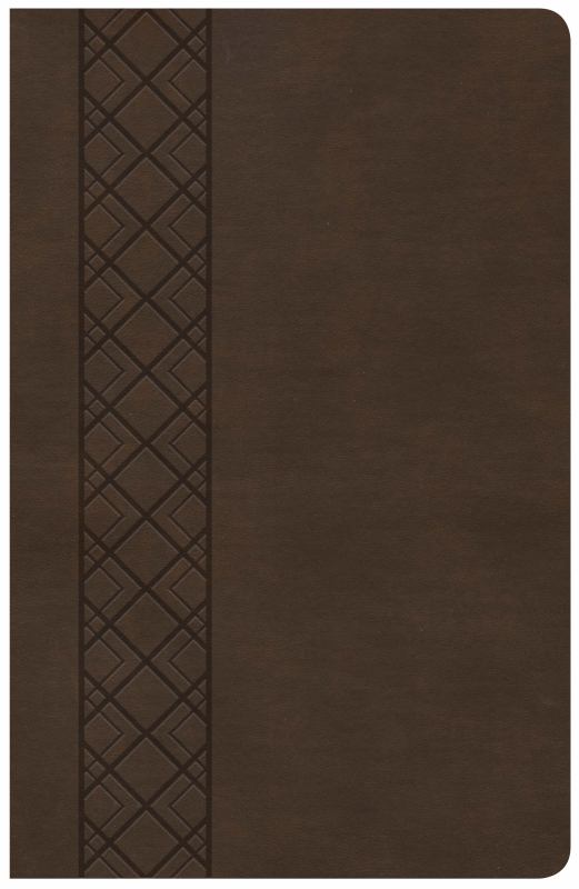 CSB UIltrathin Reference Bible (Value Edition, Brown LeatherTouch)