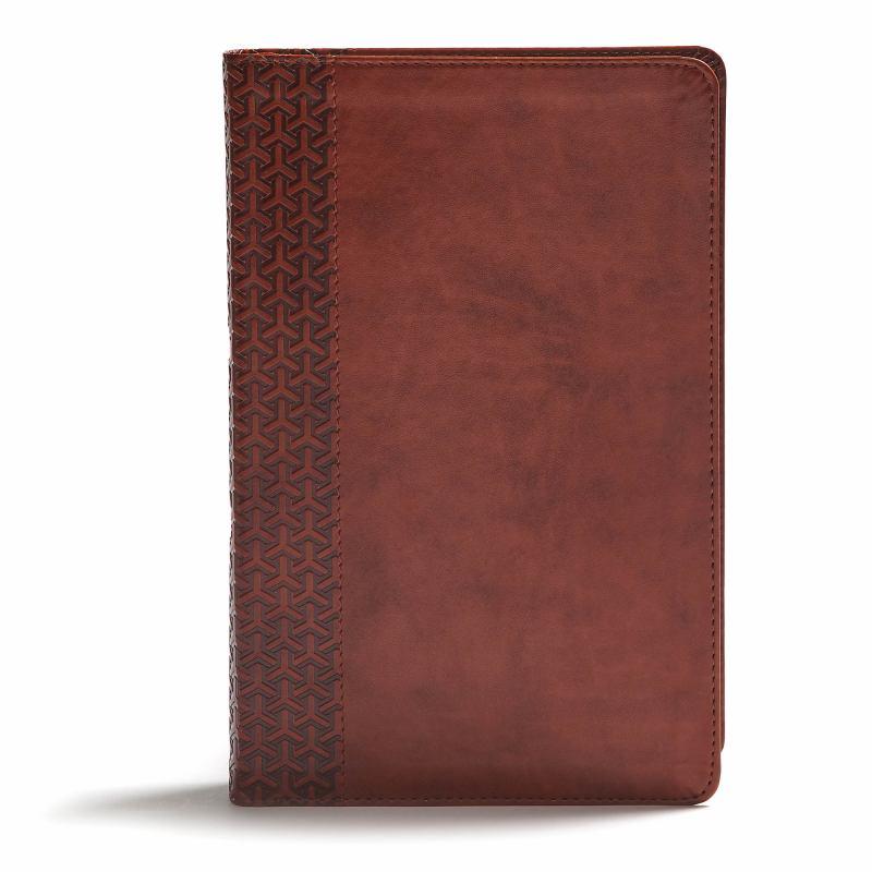 CSB Everyday Study Bible, Tan Leather Touch