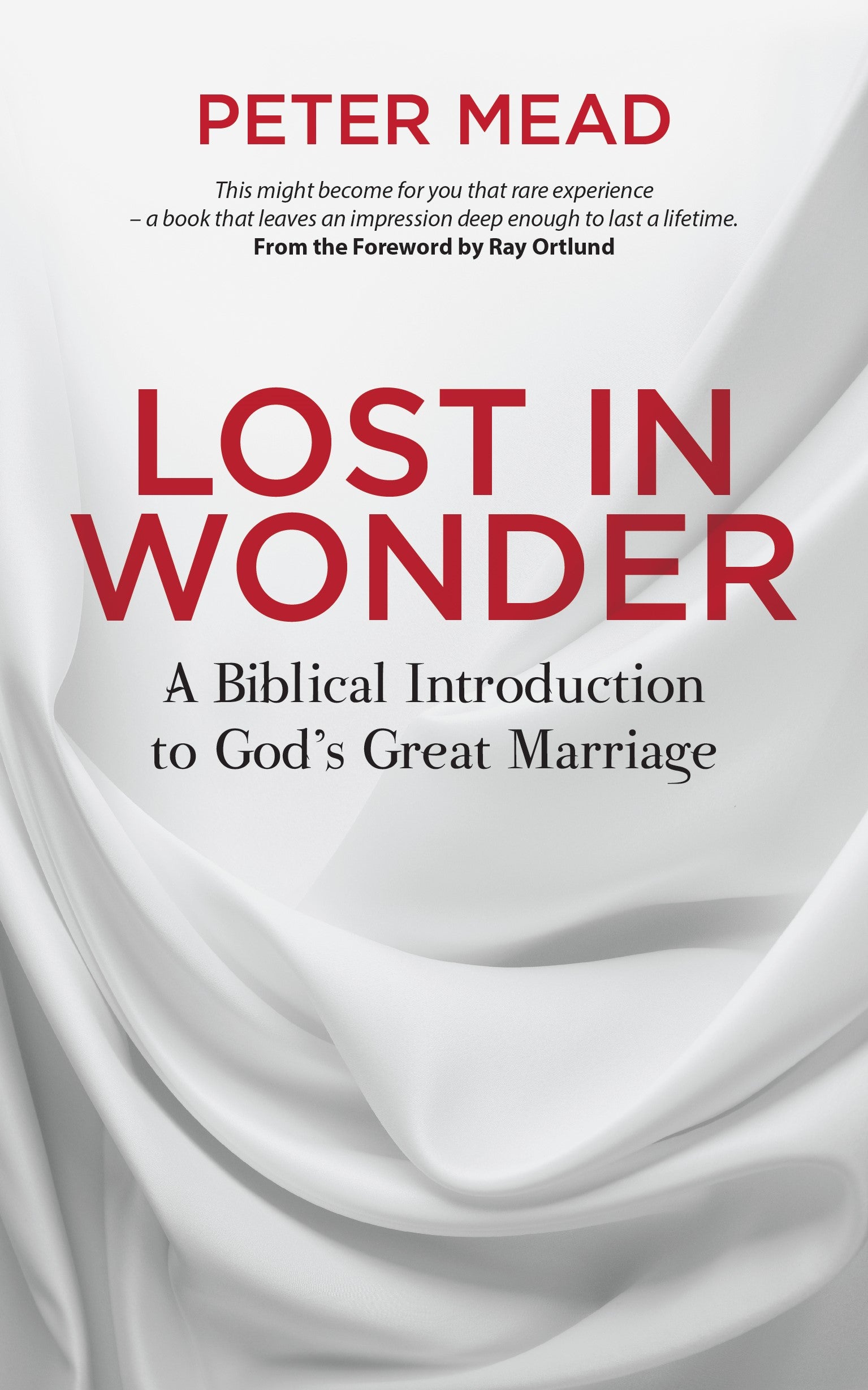 Lost in Wonder: A Biblical Introduction to God's Great Marriage