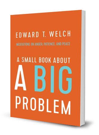 A Small Book about a Big Problem: Meditations on Anger, Patience, and Peace
